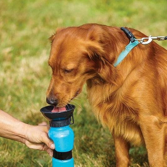 Portable Dog Water Bottle (Leak-Proof | Travel Friendly)
